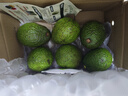 鲜级佳秘鲁进口牛油果鳄梨新鲜水果微催熟爽滑细腻宝宝辅食单果水果当季 品质超值款 100-140g 【6个装】 实拍图