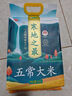 十月稻田 2025年新米 寒地之最 五常大米 10斤（东北大米 香米 十斤） 实拍图