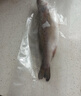 仙泉湖冷冻白蕉海鲈鱼2斤 肉厚刺少生鲜水产食材1斤*2条 生鲜食材 实拍图
