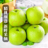 京地达梨砀山翠玉梨翠冠梨新鲜香梨子水果净重8.8斤单果250g+源头直发 实拍图