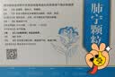 修正 肺宁颗粒 10克*10袋 清热润肺 止咳祛痰用于慢性支气管炎喉咙痒干咳 实拍图