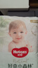 好奇（Huggies）M22片【尿裤免费送】心钻装小森林纸尿裤(6-11kg)【只返1次】 实拍图