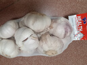 山东金乡蒜大蒜出口标准精选大蒜头蔬菜调料单果5cm 出口标准网兜装箱 925g 5-5.5cm特大 实拍图