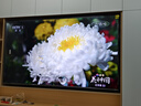 海信电视小墨E5Q Pro75英寸 768分区U+MiniLED 信芯芯片 抗反光防眩光墨晶屏 300Hz 国家补贴75E5Q-PRO 实拍图