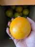 京鲜生 云南哀牢山冰糖橙/橙子 净重9斤 单果170-260g 生鲜水果礼盒 实拍图