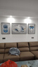 Sixpoetry 客厅装饰画现代简约沙发背景墙壁画轻奢三联晶瓷画大气高档挂画 富羽纳祥（铝合金外框） 晶瓷画左右50*70+中间100*70亮面 实拍图