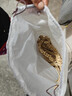 高能鹦鹉鹦鹉零食谷穗黄谷穗小米穗小鸟断奶零食杂粮磨牙学吃天然麦穗饲料 【天然谷穗】9束 实拍图