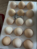 京鲜生【每日鲜蛋】无抗谷物鲜鸡蛋15枚/盒 1.5斤 源头直发 实拍图