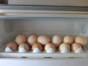 土鸡蛋五谷喂养农家散养新鲜鸡蛋40g左右早餐京东包邮生鲜溏心蛋 10枚400g 实拍图