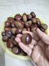 【东东农场专供】25年丹东新板栗生板栗炒菜专用新鲜蔬菜生鲜 丹东鲜板栗 1斤 送栗爪 实拍图