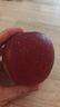 京鲜生 洛川苹果陕西红富士净重8.5斤 单果80-85mm 新鲜水果源头直发 实拍图