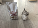 皇家成猫猫粮 营养均衡 F32 通用粮 1-7岁 2KG 实拍图