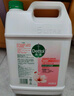 滴露（Dettol）洗手液补充装大桶消毒滋润5L 儿童家庭装杀菌护手 实拍图
