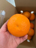 【整箱】爱媛果冻橙约2.5kg 实拍图