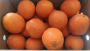 江西赣南早脐橙整箱当季新鲜早橙子榨汁水果礼盒皮薄多汁节日团购 【90%人选】净重9斤单个200g+ 实拍图