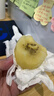 佳沛（zespri）新西兰 阳光金奇异果12粒礼盒特大果单果约122-146g 猕猴桃 水果 实拍图