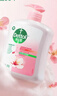 滴露（Dettol）洗手液消毒抑菌滋润500g+500g补充装儿童家庭护手替换 实拍图