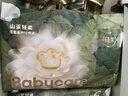 babycare金山茶花拉拉裤XL34片(12-17kg)婴儿尿不湿超薄透气新生柔花苞裤 实拍图