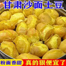 陇百味甘肃定西土豆2025年新挖粉糯面沙高山小洋芋鲜马铃薯定西特产 3两起 5斤中果 实拍图
