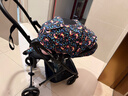 elittle逸乐途婴儿推车可坐可躺轻便折叠双向高景观伞车宝宝手推车 Dream5 小恐龙 实拍图