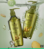 施华蔻（Schwarzkopf）生姜精华洗发露400ml 净爽控油蓬松柔顺洗发水 无硅油洗头膏 实拍图