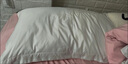 水星家纺枕头枕芯酒店枕头护颈枕头芯家用单个纯棉抗菌可水洗中枕48x74cm 实拍图