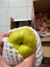 京鲜生 新疆特级库尔勒香梨 净重5斤单果120g以上 生鲜水果 实拍图