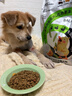 比瑞吉狗粮鸭肉梨升级瓜6冻干幼成老年小型犬小绿袋比熊去泪痕犬粮2kg 实拍图