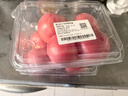 番茄约500g 实拍图
