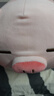 名创优品（MINISO）小猪B-BO弹力超柔趴姿毛绒公仔玩偶抱枕儿童玩具送女友生日礼物女 实拍图