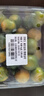 京鲜生 融安金桔/脆蜜金柑 净重1斤 单果18g起 生鲜水果 实拍图