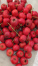 京鲜生 甜红子红山楂 新鲜山楂2斤装 生鲜水果 实拍图