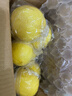 京鲜生 安岳黄柠檬 8粒 单果95-120g 生鲜水果 实拍图
