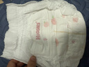 好奇（Huggies）铂金装小桃裤成长裤XL96片(12-17kg)加大号尿不湿【透爽散热】 实拍图