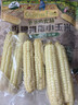 爷爷的农场儿童拇指小玉米400g(6-8根) 宝宝儿童早餐零食杂粮拇指白糯玉米 实拍图