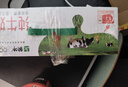 蒙牛全脂纯牛奶250ml*21盒 早餐健身伴侣 送礼盒装 实拍图