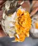 【活蟹】苏状元鲜活大闸蟹全母蟹4.5-4.8两 10只螃蟹现货生鲜去绳足重中秋海鲜礼盒 实拍图