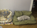 【京东物流】宠物小沙发猫抓皮防水狗窝狗沙发耐抓耐咬猫窝 翠湖绿 大号-L-80*60CM-30斤内使用 实拍图