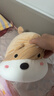 名创优品（MINISO）趴姿系大号趣味狗狗公仔毛绒玩偶玩具抱枕布娃娃生日礼物女卡其色 实拍图