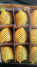 佳沛（zespri）绿奇异果 优选大果12粒单果约113-135g  水果 猕猴桃 实拍图
