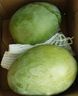 京鲜生 攀枝花凯特芒果 净重8.5斤 带箱9斤 单果500g+ 生鲜水果源头直发 实拍图