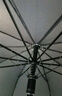 天堂 长柄加大雨伞半自动超大号商务直杆伞晴雨伞70*10骨 乌木黑 实拍图