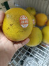 褚橙 云南冰糖橙  优级果 L 10斤装 单果约130g起 生鲜水果礼盒 实拍图
