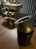 戴森（DYSON）DYSON BP03空气净化器 大面积净化异味和过敏原 滤除花粉 宠物毛发 医护级 宠护认证 镍蓝色 实拍图