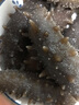 皇纯大连淡干海参干货半斤装250g20-40只底播辽刺参 特产礼盒 实拍图