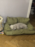 【京东物流】宠物小沙发猫抓皮防水狗窝狗沙发耐抓耐咬猫窝 翠湖绿 大号-L-80*60CM-30斤内使用 实拍图