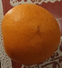 京鲜生 爱媛果冻橙 净重5斤 单果130g起 生鲜水果桔子礼盒 实拍图