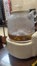 小熊（Bear）全玻璃壶体养生壶恒温壶 办公室多功能煮茶壶花茶壶 0金属养生杯 24h预约24h保温 1L YSH-P10Q7 实拍图