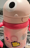 babycare儿童保温杯婴儿宝宝吸管水杯霸王龙不锈钢保温杯300ml-新旧款混发 实拍图