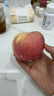 京鲜生山东烟台红富士苹果 净重5斤 单果85-90mm 生鲜水果 源头直发 实拍图